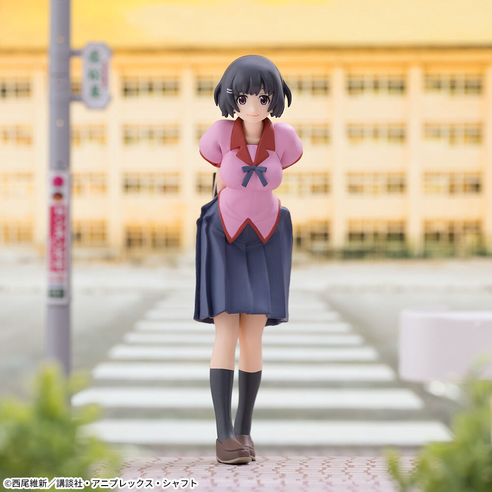 Monogatari Series Nisemonogatari SEGA High Grade Figure PM Figure Hanekawa Tsubasa